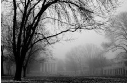 A Travesty of “Open Government”